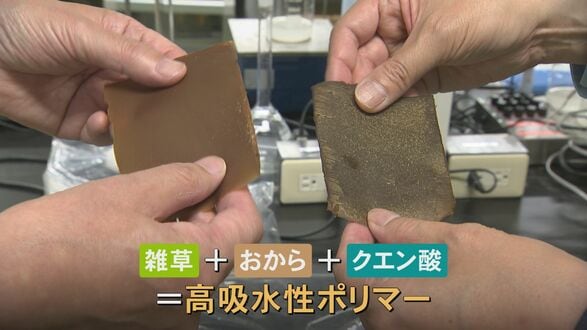 石油に代わる未来 「雑草からプラスチック」ノリを育て、農作物を保水 世界初のロボットが活躍 「人工ダイヤモンド」は海ごみから　|　石川県のニュース｜MRO北陸放送