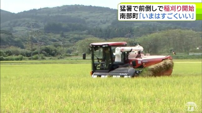 青森県内に例年より早く“収穫の秋”の訪れ　南部町で「稲刈り」はじまる　高温による品質低下が懸念も順調に生育「いまのところはすごくいい」|TBS NEWS DIG