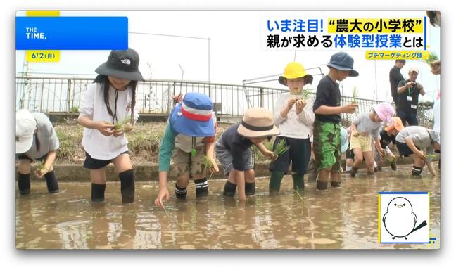 志願倍率1位「農大の小学校」なぜ人気?体験授業や給食でも「自ら問いを立てる」【THE TIME,】|TBS NEWS DIG
