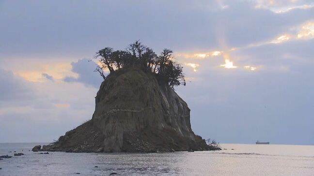 「もう揺れないでほしい」発災1年、被災地でも初詣 能登半島地震からの復興願う|TBS NEWS DIG