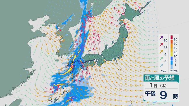 【GWの天気】「北にも南にも低気圧」が ゴールデンウィークの谷間の平日 1日(木)と2日(金)は西日本から東日本では大雨のところも 雨と風シミュレーション|TBS NEWS DIG