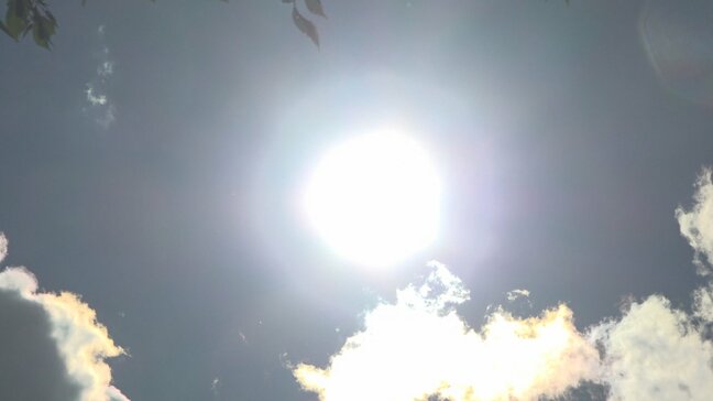 台風一過で猛暑　甲府など38度超　送電線に農業用反射シートひっかかり約5万5600軒が一時停電|TBS NEWS DIG