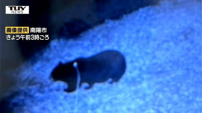 【動画】市職員がクマに襲われた南陽市 監視カメラの画面にはハッキリとクマの姿...しかし箱ワナにはかからず(山形)|TBS NEWS DIG