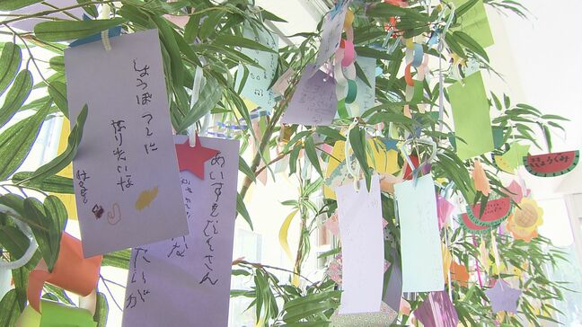 「きみどりの衣装を着ているアイドルになりたい」園児の願いは?こども園で七夕会 福島・郡山市|TBS NEWS DIG