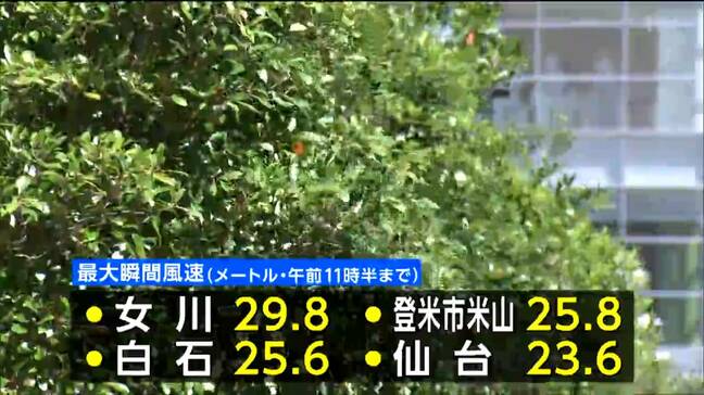 夕方まで暴風に警戒 在来線運休や減便も 宮城|TBS NEWS DIG