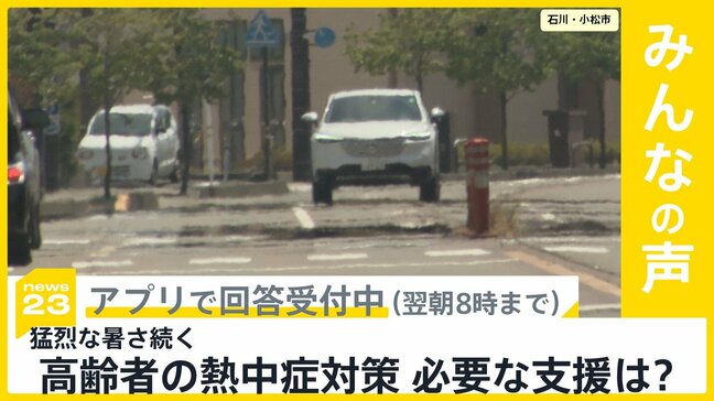 連日続く暑さ…熱中症で救急搬送の半数以上が高齢者　高齢者の熱中症対策に必要な支援は？【news23】|TBS NEWS DIG