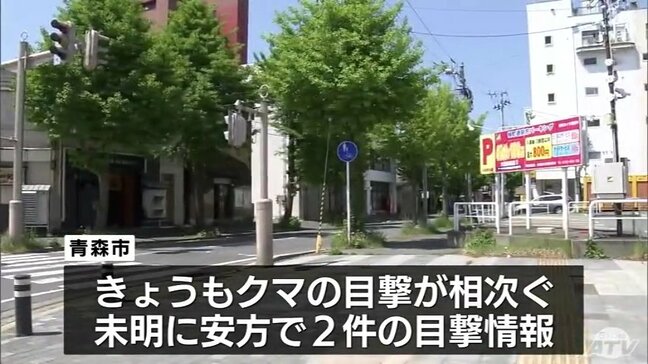 クマ 中心街で目撃相次ぐ 青森県青森市|TBS NEWS DIG
