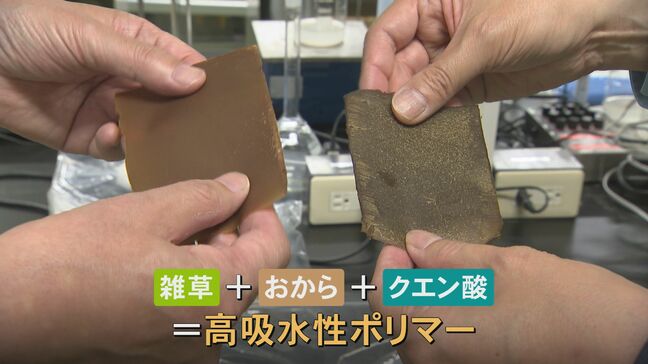 石油に代わる未来 「雑草からプラスチック」ノリを育て、農作物を保水 世界初のロボットが活躍 「人工ダイヤモンド」は海ごみから|TBS NEWS DIG