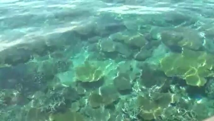 ”日本最大級”のサンゴ礁群「八重干瀬」でシュノーケリング中の男性が死亡　沖縄・宮古島市沖|TBS NEWS DIG