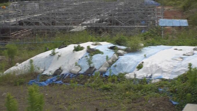 馬毛島基地の隊員宿舎建設地　廃棄物混じりの土処理費は1000万円近く　地元・西之表市が負担方針　鹿児島|TBS NEWS DIG