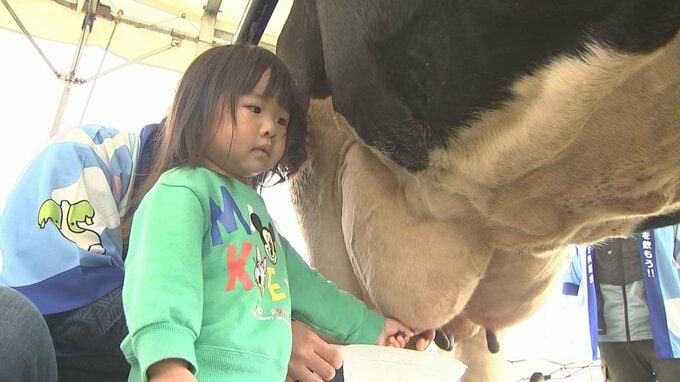 「乳搾り」体験イベント　餌や資材高騰で厳しい酪農への理解と消費拡大へ　大分　|　大分のニュース｜OBS NEWS｜大分放送