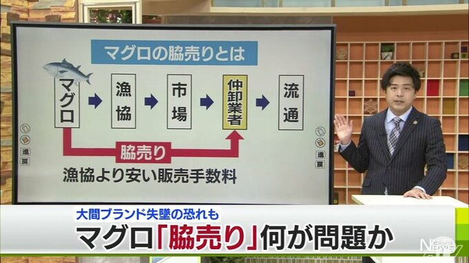 【解説】マグロ「脇売りは違反ではない」何が問題？ “大間”ブランドだけでなく日本の信用損なう恐れも|TBS NEWS DIG