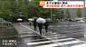【ゴールデンウィーク情報】5月2日は暴風で「東北新幹線は午前中から遅れや運休の可能性」がある　|　宮城のニュース│tbc NEWS│tbc東北放送