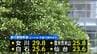 夕方まで暴風に警戒　在来線運休や減便も　宮城　|　宮城のニュース│tbc NEWS│tbc東北放送