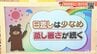 30日（火）の日中は日差し少なめ　蒸し暑さ続く　愛媛　|　愛媛のニュース - Nスタえひめ｜あいテレビは6チャンネル