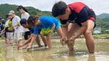 約20人の大学生が佐伯市で田植えを体験　後継者不足の課題解決へ　大分|TBS NEWS DIG
