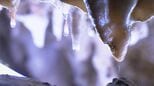 真夏でも気温は12℃!? 岐阜･高山市丹生川町の観光名所｢飛騨大鍾乳洞｣ 避暑スポットは大賑わい ｢冷蔵庫みたい｣|TBS NEWS DIG