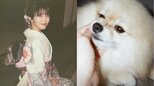 【浜辺美波】レンズ付きフィルムのエモ写真は愛犬と振り袖「可愛らしくそして華やか」　フォロワー賛美「ロック画面にしていいですか」|TBS NEWS DIG