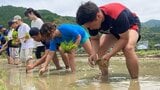 約20人の大学生が佐伯市で田植えを体験 後継者不足の課題解決へ 大分|TBS NEWS DIG