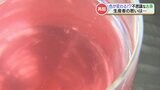 復興のお茶「サンルージュ」 九州北部豪雨で被災した茶畑から生まれた “色の変化が楽しめる新たな日本茶” | 熊本のニュース|RKK NEWS|RKK熊本放送