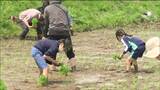「子どもにとって貴重な経験」親子で田植え体験　宮城・名取市　|　宮城のニュース│tbc NEWS│tbc東北放送