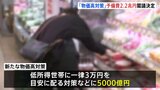 政府 低所得者世帯に3万円などの物価高対策 予備費から約2.2兆円支出を閣議決定|TBS NEWS DIG