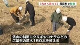 「大きく育て」熊本ロータリークラブが俵山に植樹　熊本市の水資源を守る　　|　熊本のニュース｜RKK NEWS｜RKK熊本放送