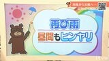 4月1日(水)は再び雨 昼間もヒンヤリ 寒暖差注意 愛媛|TBS NEWS DIG