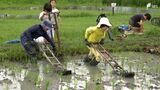 評価点は“公園と地域とのつながり”「あさはた緑地」が日本一のビオトープに コンセプトは“未来につながる緑の遊び場”【SDGs】 | 静岡のニュース | SBSNEWS | 静岡放送