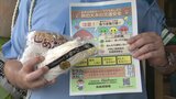 なぜきのこ配布?秋の交通安全県民運動 | 福岡のニュース|RKB NEWS|RKB毎日放送