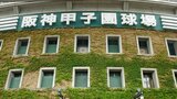 第95回センバツ高校野球 出場校決定!!(九州地区) | 熊本のニュース|RKK NEWS|RKK熊本放送
