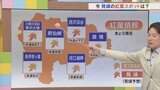 週末は半袖でもOK? 県内の週末の紅葉情報を含め 気象予報士が解説 | 山梨のニュース | UTYテレビ山梨