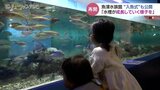 魚津水族館が約1か月ぶりに営業再開 クラウドファンディングによる支援で改修 初日は10数匹も…徐々に戻る予定 富山 | 富山のニュース|天気・防災|チューリップテレビ