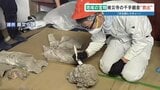 【文化財レスキュー】約30体の仏像を助け出す 被災した地域の宝を守る 熊本・益城町|TBS NEWS DIG