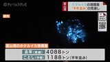 3月1日解禁！ホタルイカ漁「平年並み」1188トンの見通し　富山県水産研究所が予測　|　富山のニュース｜天気・防災｜チューリップテレビ