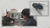 ”鳥インフル”ハエがウイルスを媒介か　九大の研究チームが発表　|　福岡のニュース｜RKB NEWS｜RKB毎日放送
