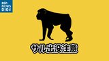 小学校近くの道路に20頭ほどのサルが出没 刺激しないように注意を 新潟・阿賀野市|TBS NEWS DIG