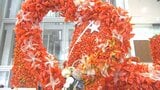 2万個のホオズキで彩る高さ6メートルのタワー 佐伯市役所に登場 大分 | 大分のニュース|OBS NEWS|大分放送