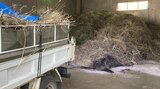 柏崎刈羽原発敷地内の枯れ草火災 原因は「車のマフラー接触か」|TBS NEWS DIG