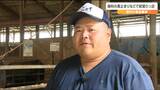 「配合飼料の価格は20年前のおよそ3倍」畜産農家の経営はひっ迫 牛の頭数も減れば子牛の値段も高くなる悪循環に|TBS NEWS DIG