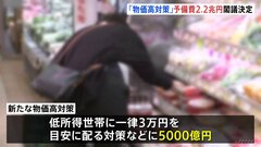 政府　低所得者世帯に3万円などの物価高対策　予備費から約2．2兆円支出を閣議決定| TBS CROSS DIG with Bloomberg