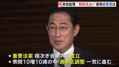 岸田総理「最大の収穫は解散権とっておけたこと」解散見送り表明から一夜…国会で重要法案相次ぎ成立　立憲は不信任案提出へ【記者解説】| TBS CROSS DIG with Bloomberg