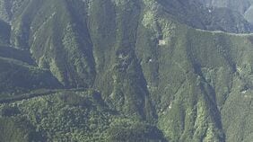 【速報】登山中の男性がクマに襲われ重傷 東京・奥多摩町 警視庁|TBS NEWS DIG