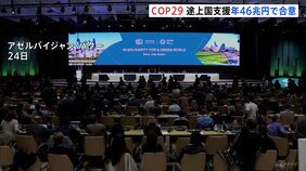 COP29　途上国支援「年46兆円」で合意　「目標額が少なすぎる」の声も|TBS NEWS DIG