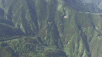 【速報】登山中にクマに襲われ重傷　ロシア国籍の30代男性が腕や頭などけが　東京・奥多摩町　警視庁|TBS NEWS DIG