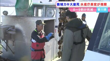 養殖カキの大量死 水産庁の藤田仁司長官らが香川県の産地を視察 「日本