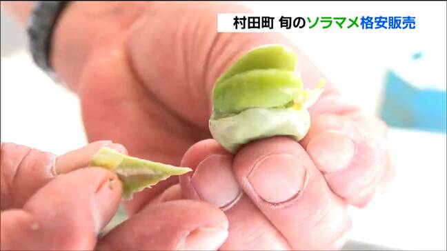 道の駅で旬のソラマメ“詰め放題500円”が人気「ドレミファそらまめ祭り」 宮城・村田町|TBS NEWS DIG