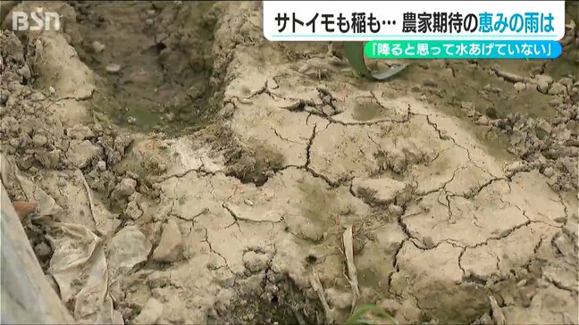 「とにかく水が欲しい…サトイモも稲も育たない」ダムの貯水率0%の街に恵みの雨は降ったのか…新潟・五泉市|TBS NEWS DIG