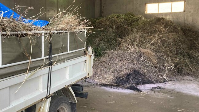 柏崎刈羽原発敷地内の枯れ草火災　原因は「車のマフラー接触か」|TBS NEWS DIG