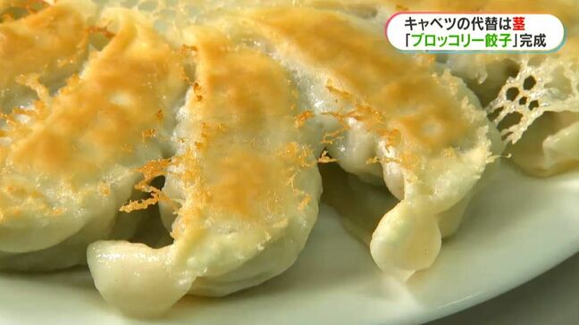「ブロッコリーの茎」がおいしいギョーザに　物価高に苦しむギョーザメーカーが新商品開発で金賞受賞　鹿児島|TBS NEWS DIG